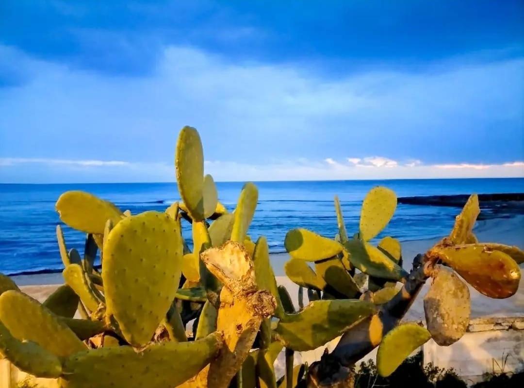 Appartamento Lido San Giovanni Gallipoli Luaran gambar